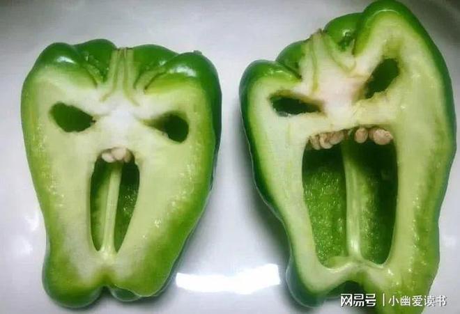 的偶然》：功利心与虚荣心造就的黑暗阴谋新葡京娱乐场app松本清张《十万分之一(图4)