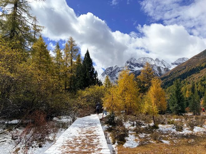 服务社榜团体服务+IP定制游标杆新葡京2